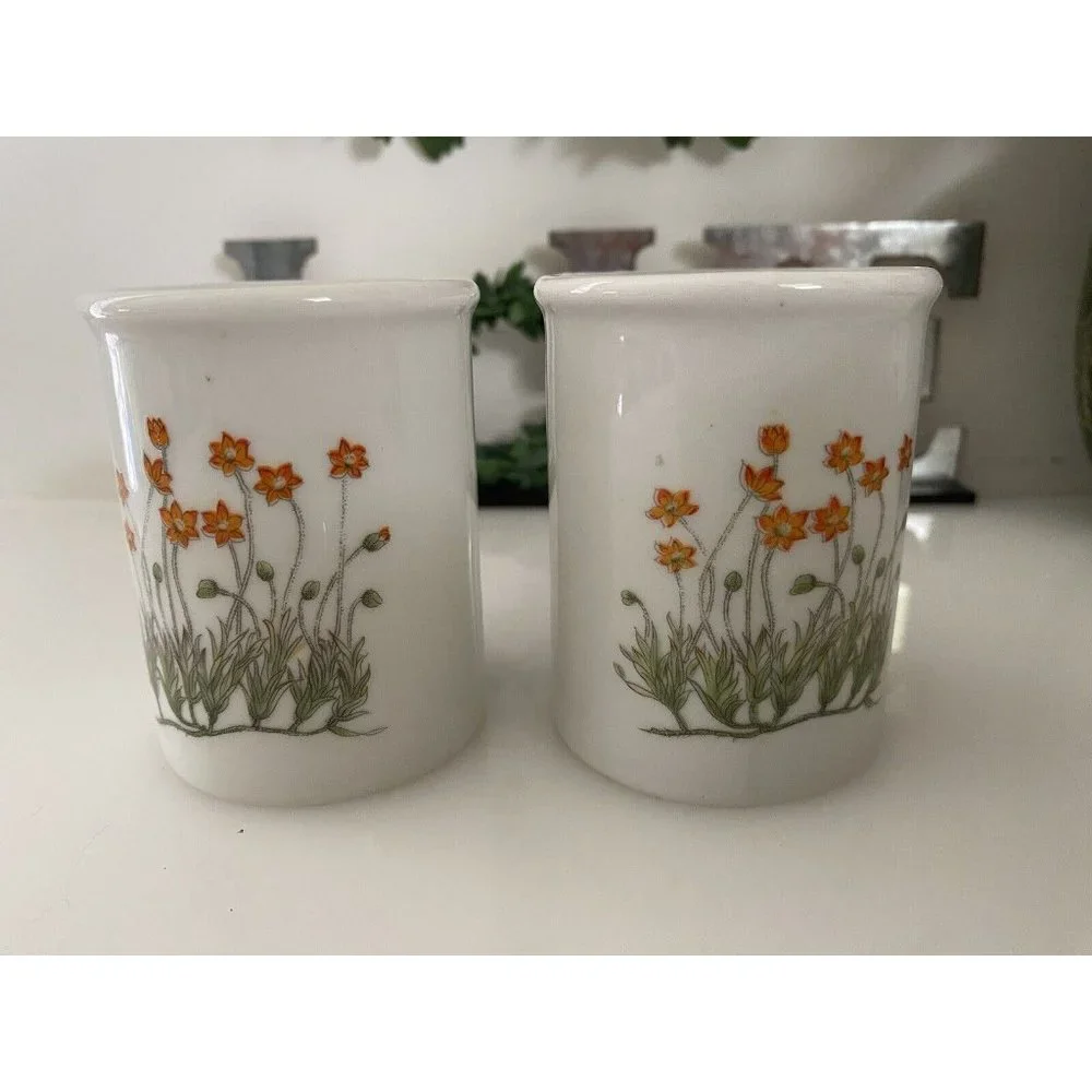 Takashi‎ Ceramic Salt and Pepper Shakers Orange Flowers